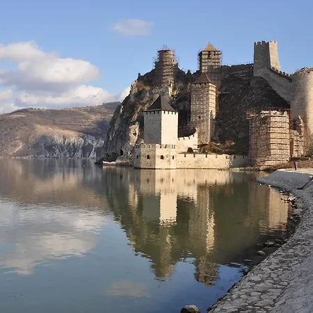 Bogojevic Golubac