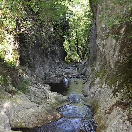 Bogojevic