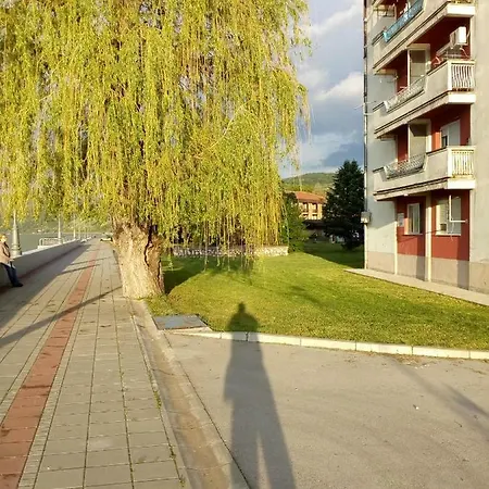 Bogojevic