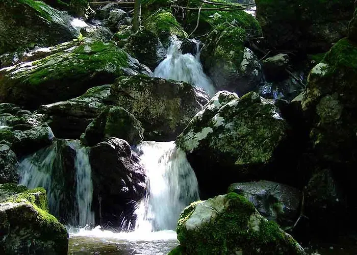 Appartement Bogojevic *